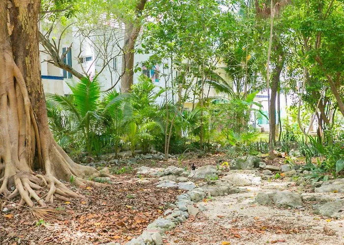 Tohoku62 Apartamento Playa del Carmen
